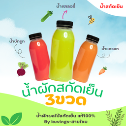 เซ็ตน้ำผักสกัดเย็น 3 ขวด ขนาดขวดละ300ml
