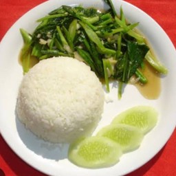 คะน้าน้ำมันหอยราดข้าว