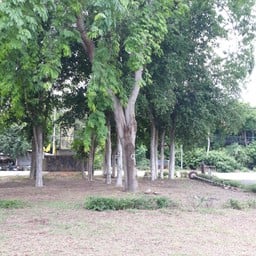 เขตห้ามล่าสัตว์ป่าชะอำ