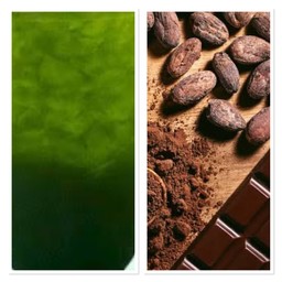 ชาเขียว ผสม โกโก้