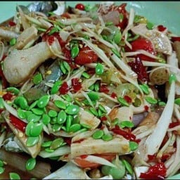 ส้มตำยายโย-ป่าคลอก ป่าคลอก
