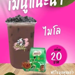 ไมไล