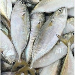 ร้านเอวาฮาลาล@อาหารอิสลาม