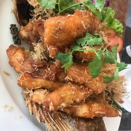 ปลากระพงทอดตะไคร้