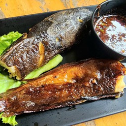 ปลาดุกย่าง