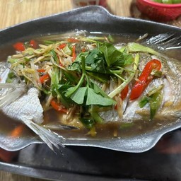 ปลากระพงนึ่งซีอิ๋ว