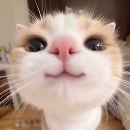 มีกระทะแยกสำหรับลูกค้าที่ไม่ทานหมู โน๊ตไว้ได้เลยนะคะ