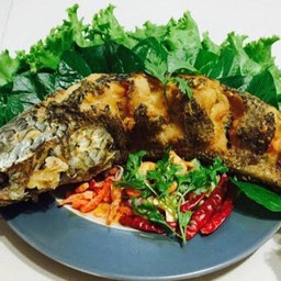 ปลาช่อนทอดสมุนไพร