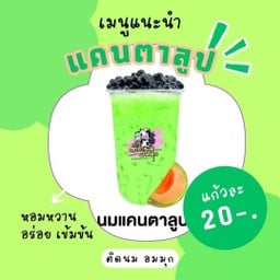 แคนตาลูบ