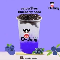 Blueberry Soda