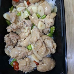 [อร่อยซ่ากับโค้ก] ข้าวไก่ผัดพริกกระเทียมสด +  โค้ก ไม่มีน้ำตาล (กระป๋อง) 