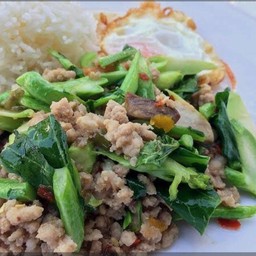 ข้าวคะน้าหมูสับ