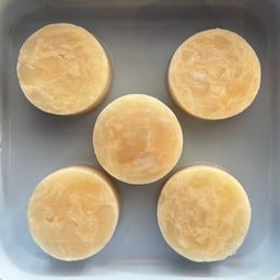 53หอยเชลล์