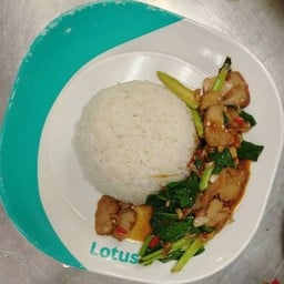 (ข้าวทิพย์ อาหารตามสั่ง) ข้าวคะน้าหมูกรอบ