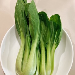 กวางตุ้ง