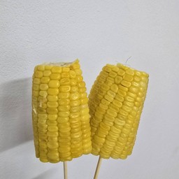 ข้าวโพด