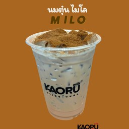 นมตุ๋น ไมโล