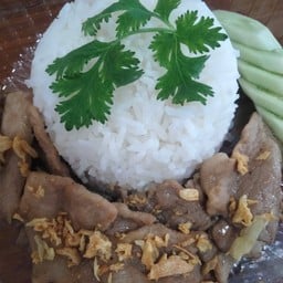 แม่ผึ้ง ร้านครัวในบ้าน