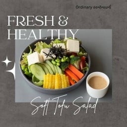 ออดิแนรี่ ordinary