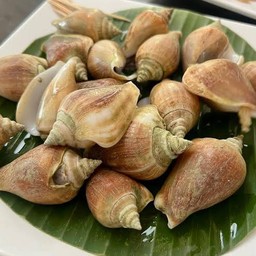 หอยชักตีน