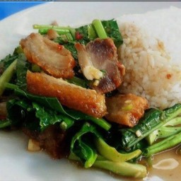 ข้าวคะน้าหมูกรอบ
