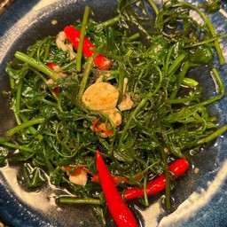 ผักกูดน้ำมันหอย