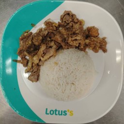 (ข้าวทิพย์ อาหารตามสั่ง) ข้าวกระเทียมพริกไทยหมู/ไก่