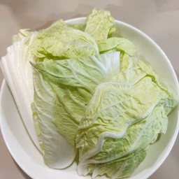 ผักกาดขาว