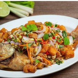 ปลาทับทิบลุยสวย