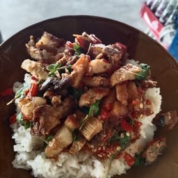 กระเพราะรวมมิตร