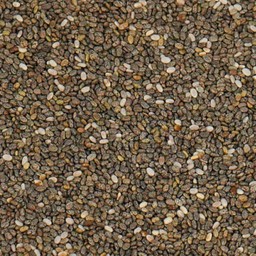 Chia Seed