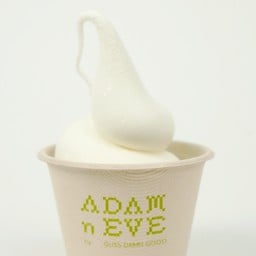 PLAIN FROYO (No Toppings)