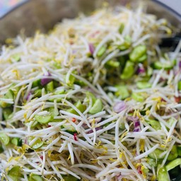 ผักยำ (สูตรยายสุทินหลังสวน)