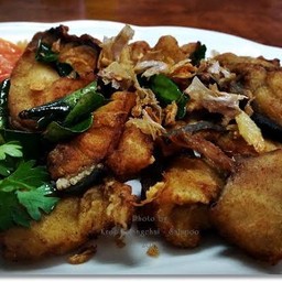 ปลาคังทอดน้ำปลา