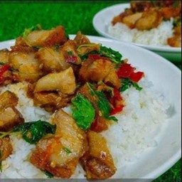 ข้าวกระเพราหมูกรอบ