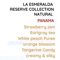 Panama La Esmeralda Geisha Natural