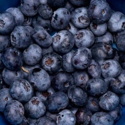 Blueberry