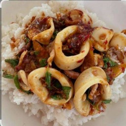 ข้าวกระเพราปลาหมึก