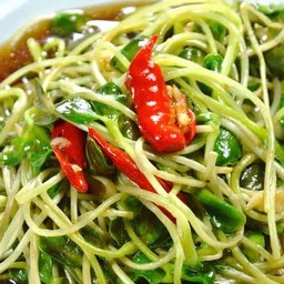 ต้นอ่อนน้ำมันหอย