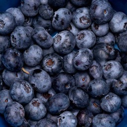 Blueberry