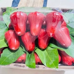 ชมพู่ทับทิมจันทร์