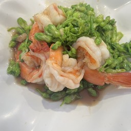 ดอกขจรผัดกุ้ง