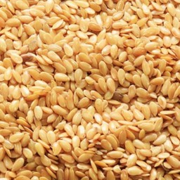 Flax Seed