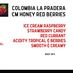 Colombia La Pradera Red Berries
