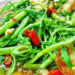 กระเฉดหมูกรอบ