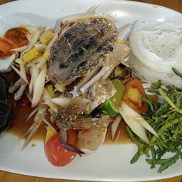 ตำนัววอินดี้
