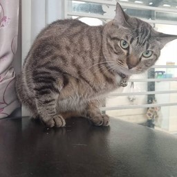 น้องเซเว่นพ่อหนุ่มขี้อาย