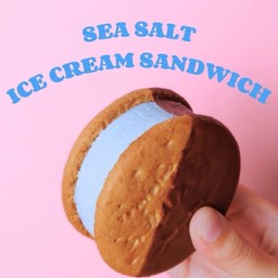 Sea Salt Ice Cream Sandwich (6g Protein)