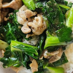 ผัดคะน้าน้ำมันหอยราดข้าว