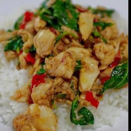 กระเพราไก่ชิ้น